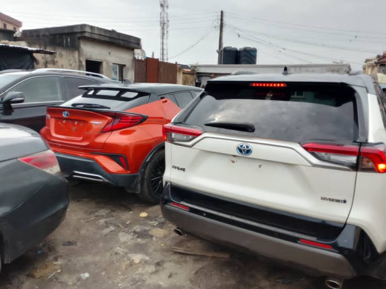 WhatsApp Image 2026-01-12 at 1.51