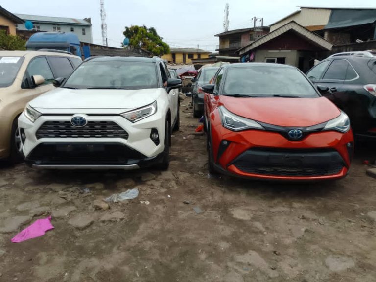 WhatsApp Image 2026-01-12 at 1.51